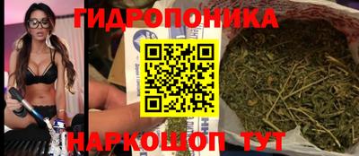 скорость Кимры